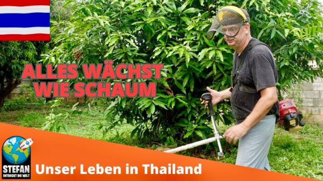 Lizenz der Fahne aus dem Thumpnail: “Thaifahne: Freepik.com".