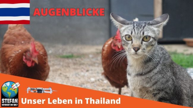 Lizenz der Fahne aus dem Thumpnail: “Thaifahne: Freepik.com".
