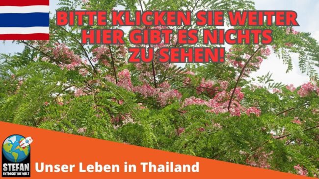 Lizenz der Fahne aus dem Thumpnail: “Thaifahne: Freepik.com".