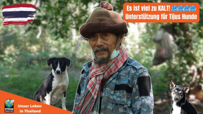 Tiju und seine Hunde
