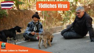 Tiju und Stefan bei den Hunden